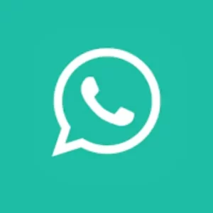 GBWhatsApp 53 MB