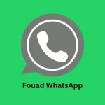 Fouad WhatsApp